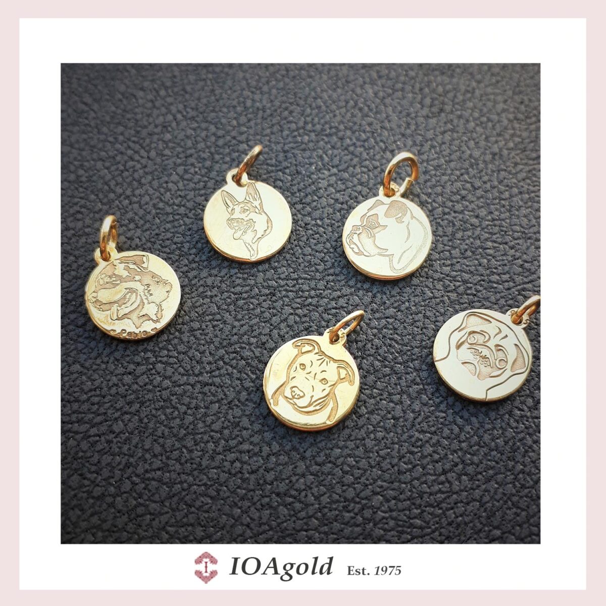 frame IOA pets a pets gold pendants