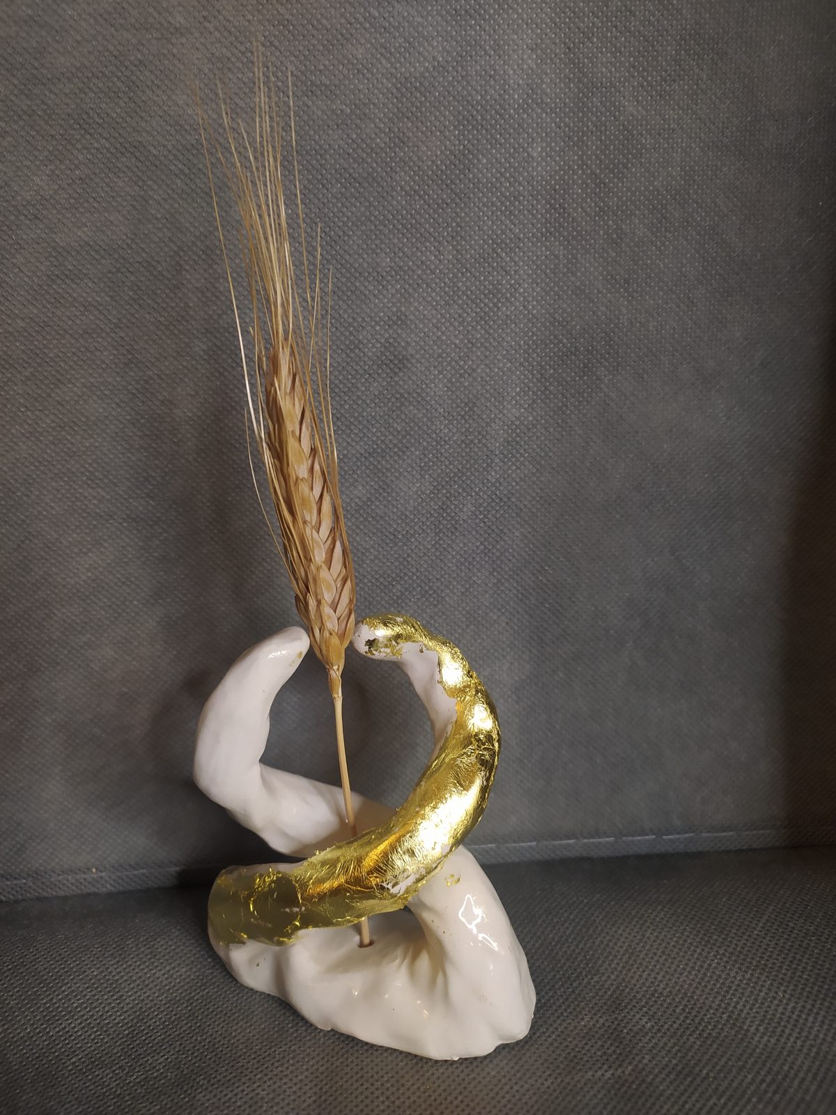 IMG_20230210_175338 IMG_20230210_175338