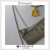 Alk-Anthemio silver necklase d