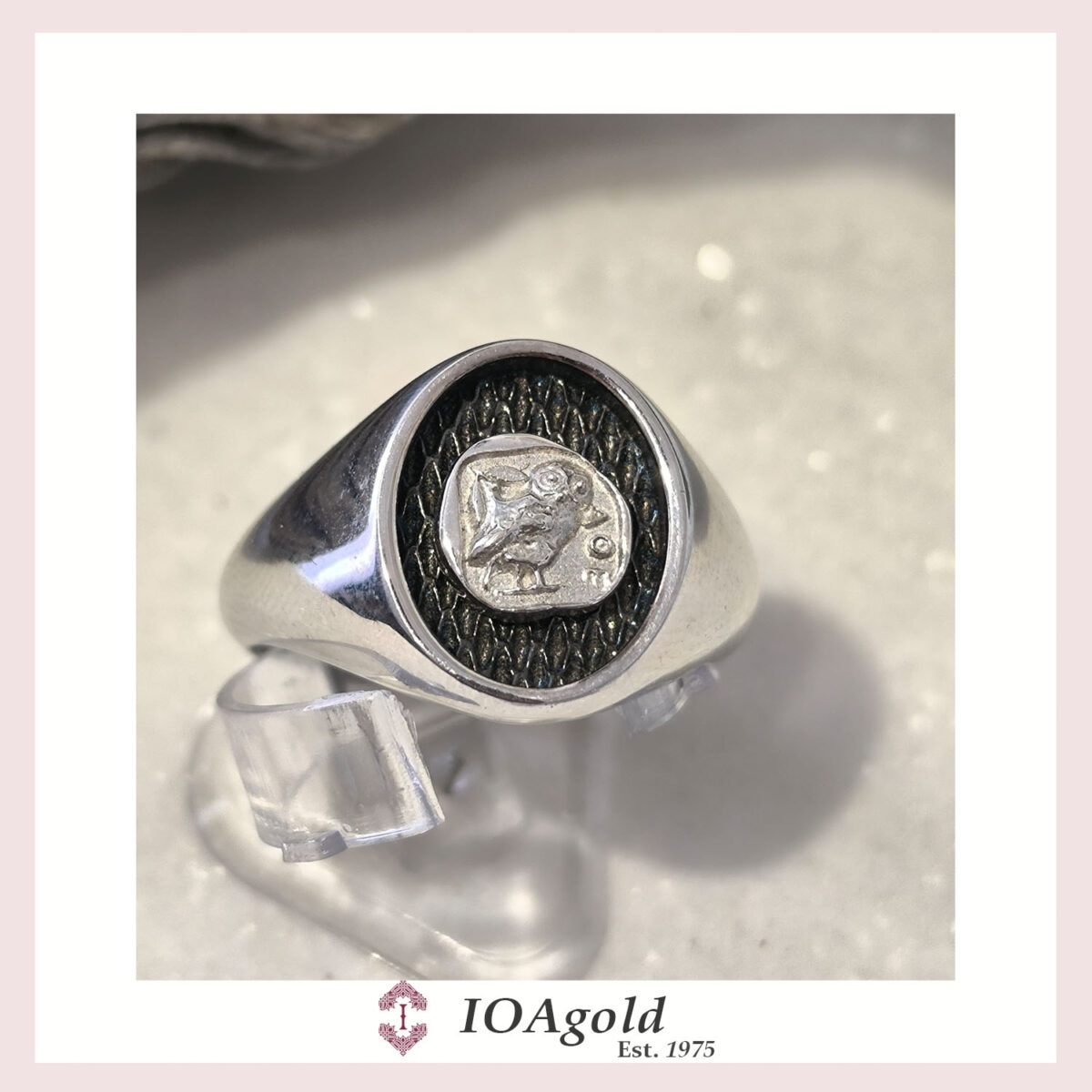 Alkyone -men silver ring OWL of Athina godess
