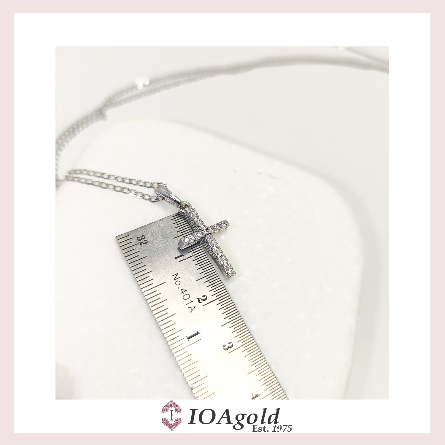 IMG_20250321_115537 IMG_20250321_115537