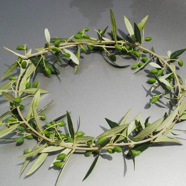 Olive branch gold necklaces